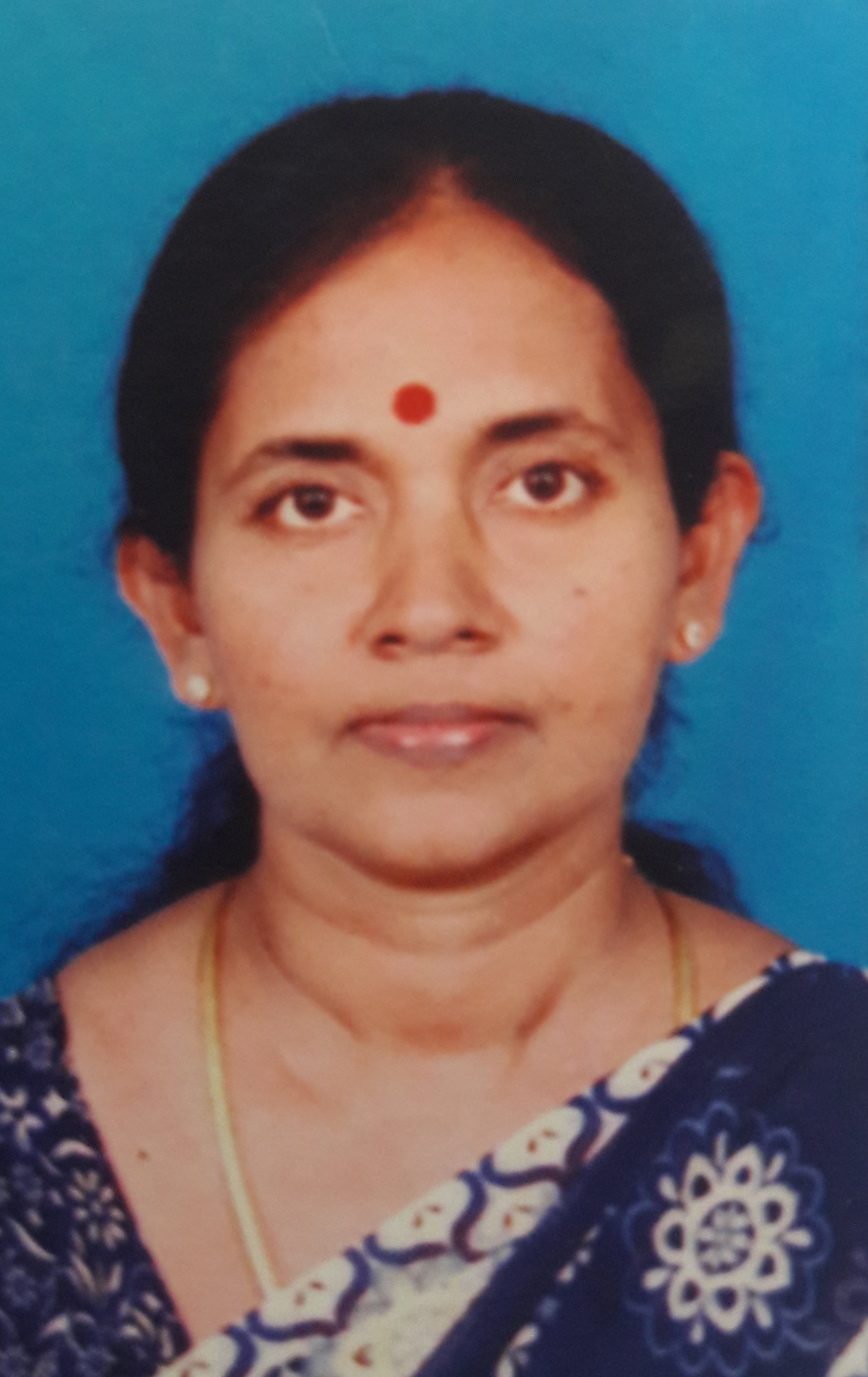 Mrs. V Shanmuganayagam